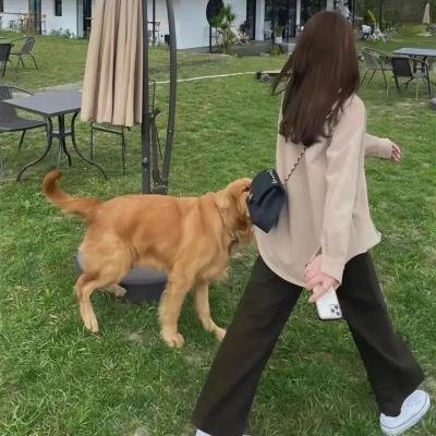 卧底毒龙