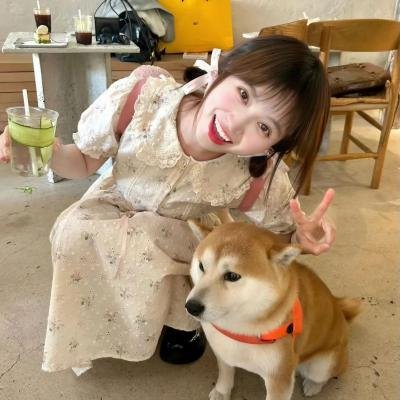 迪兹先生